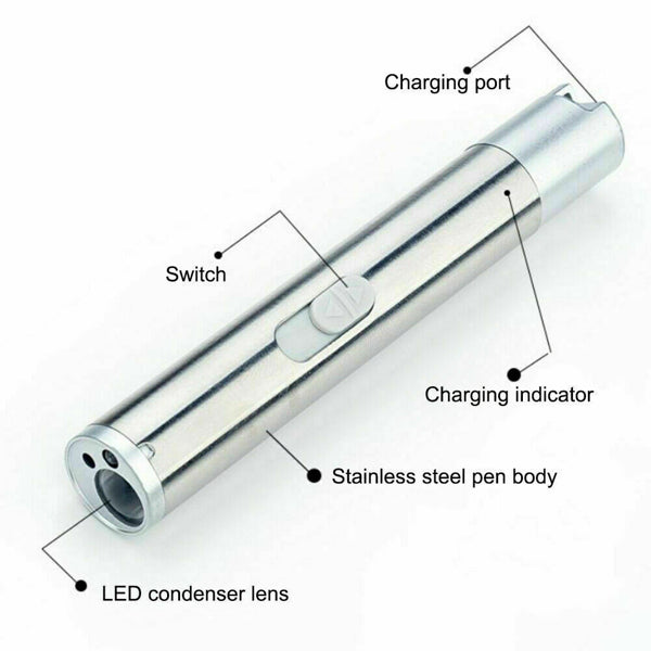 3 In1 1mw USB rechargeable jouet stylo lampe de poche rouge laser faisceau UV lumière 3-modes