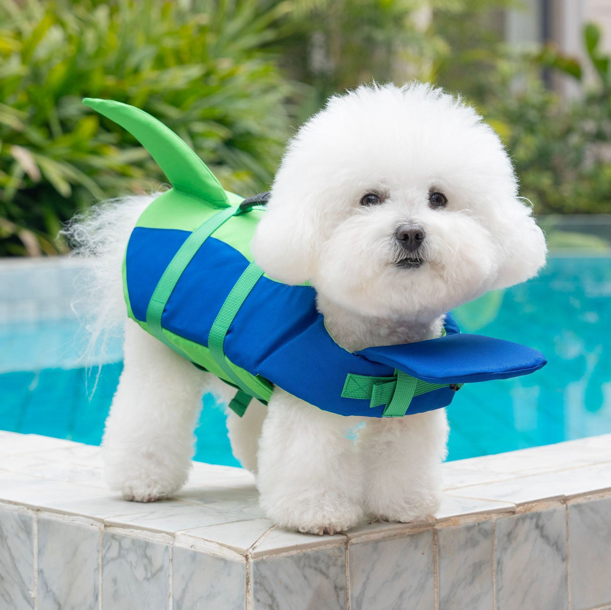 Veste de vie pour animaux Veste de vie pour chiens