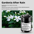 Voiture Aromatherapy-Balm Style-Jardenia après la pluie-1 bouteille