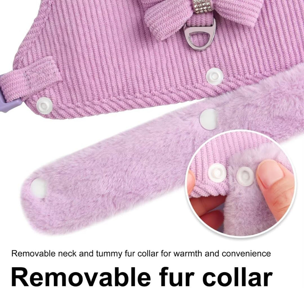 Mignon chaud petit chien Harnais et jeu de laisse avec Bow Tie