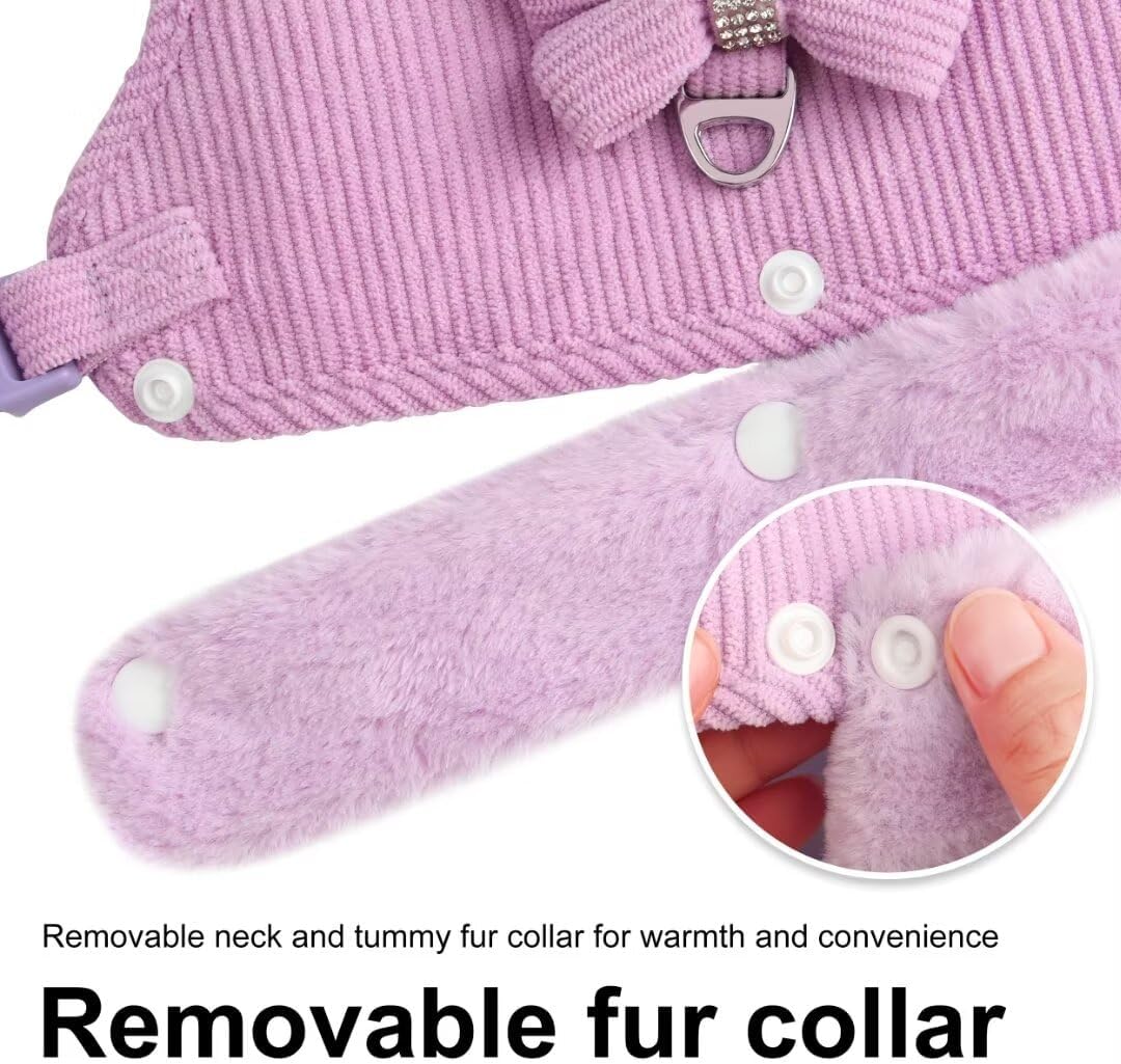 Mignon chaud petit chien Harnais et jeu de laisse avec Bow Tie