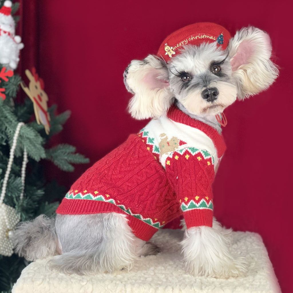 Chapeau pour animaux de compagnie de style Noël