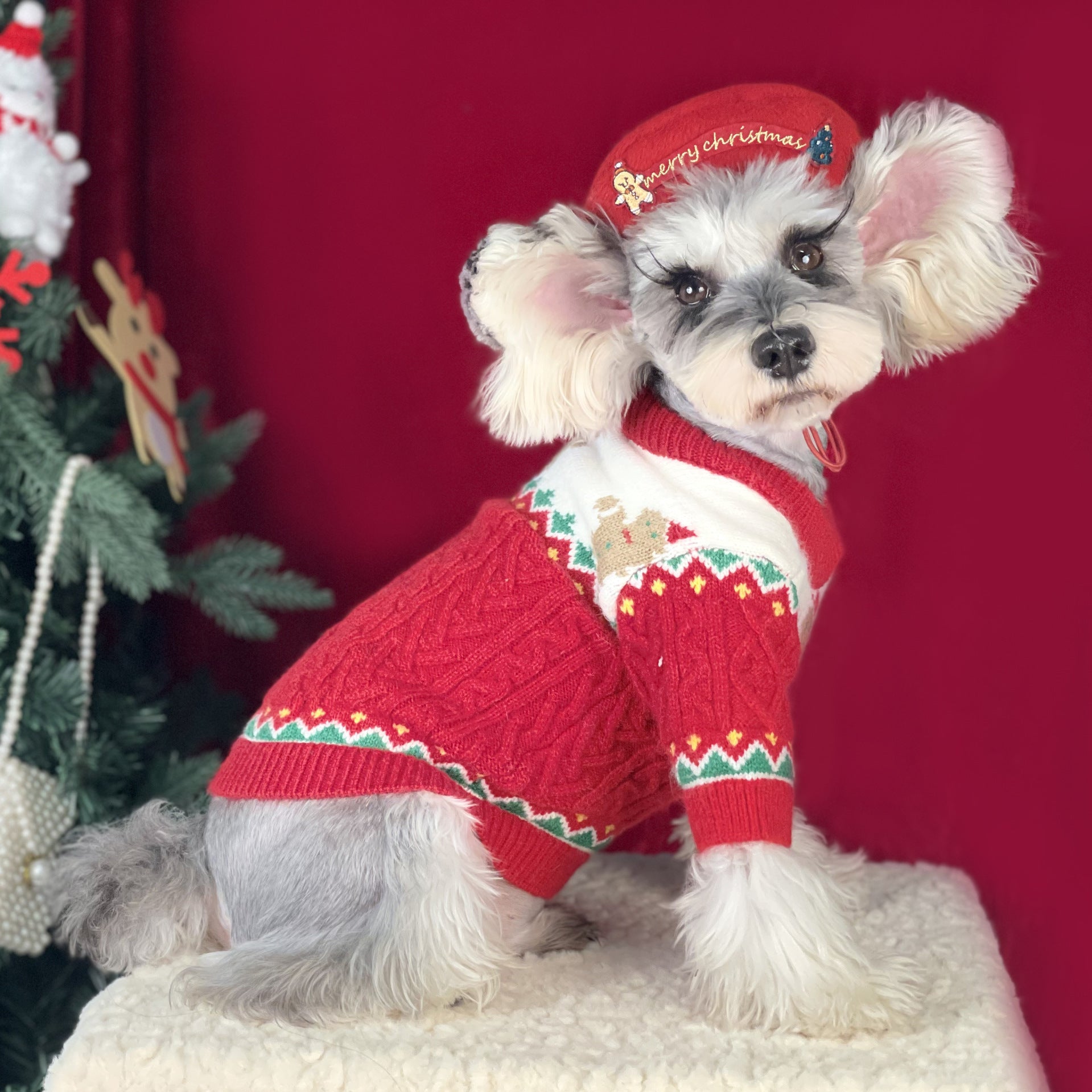 Chapeau pour animaux de compagnie de style Noël