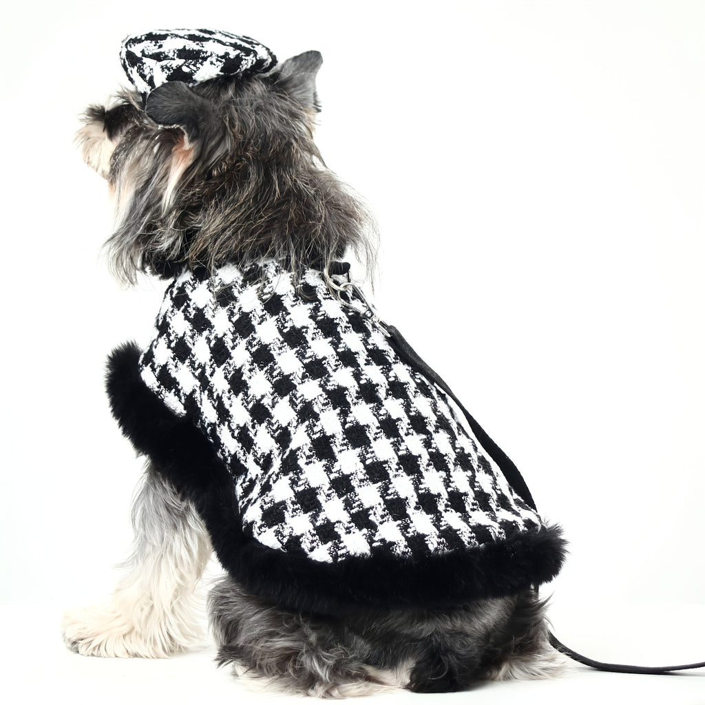Coat et chapeau en peluche pour chiens petits et moyens