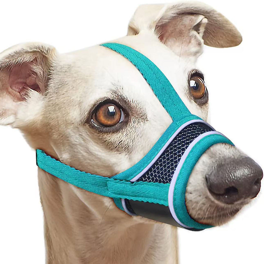 Couverture respirante pour chien de Mesh