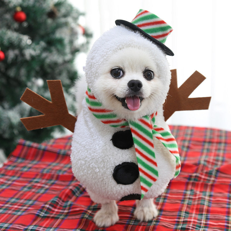 Déguisement de Noël pour petits chiens