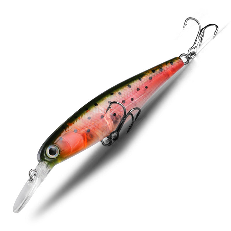 Lure Floating minnow lure