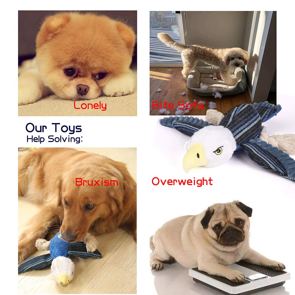 Ensemble de jouets pour chiens