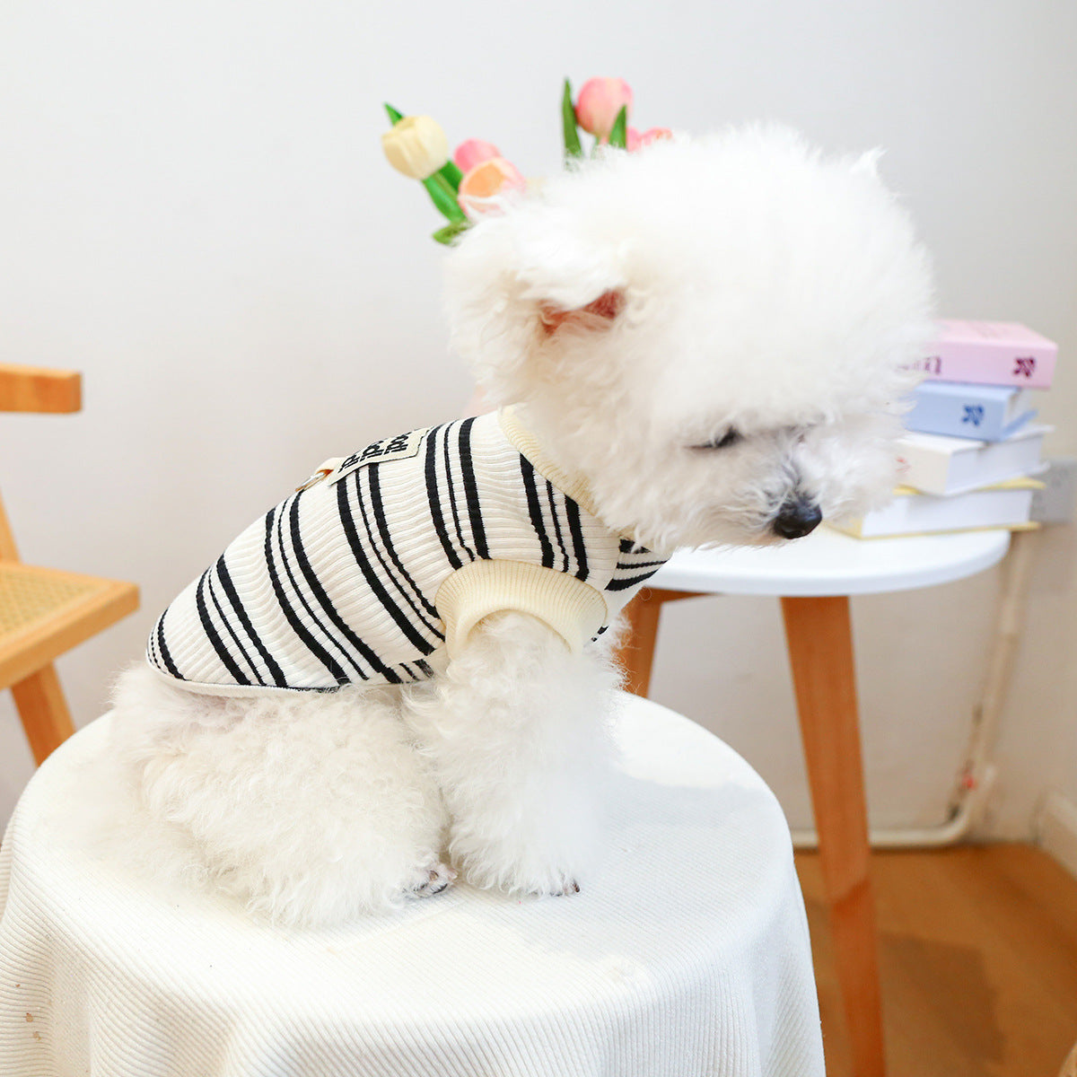 Veste de traction de vêtements chien