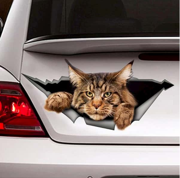 Maine Coon Autocollant Torn Metal Sticker réfléchissant
