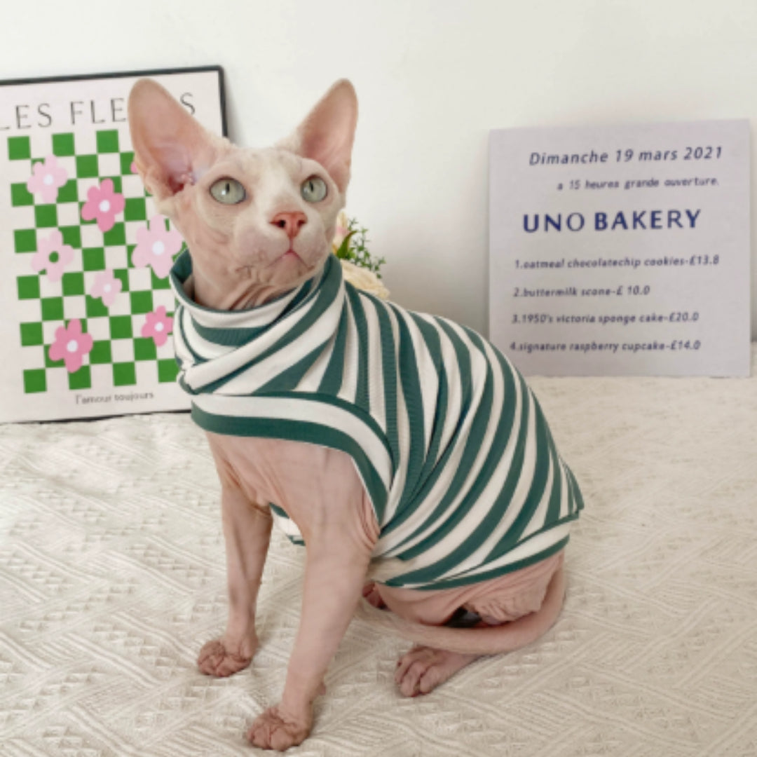 Sphinx de chat sans cheveux Vêtements Allemand bandes de chat