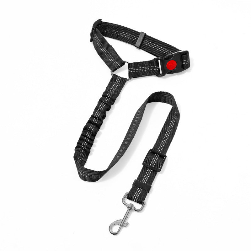 Ceinture de sécurité sur corde de traction montée sur véhicule pour animaux de compagnie
