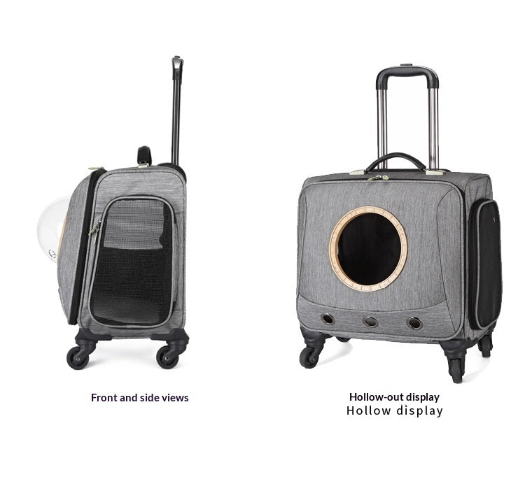 Transporteur universel pour animaux de compagnie