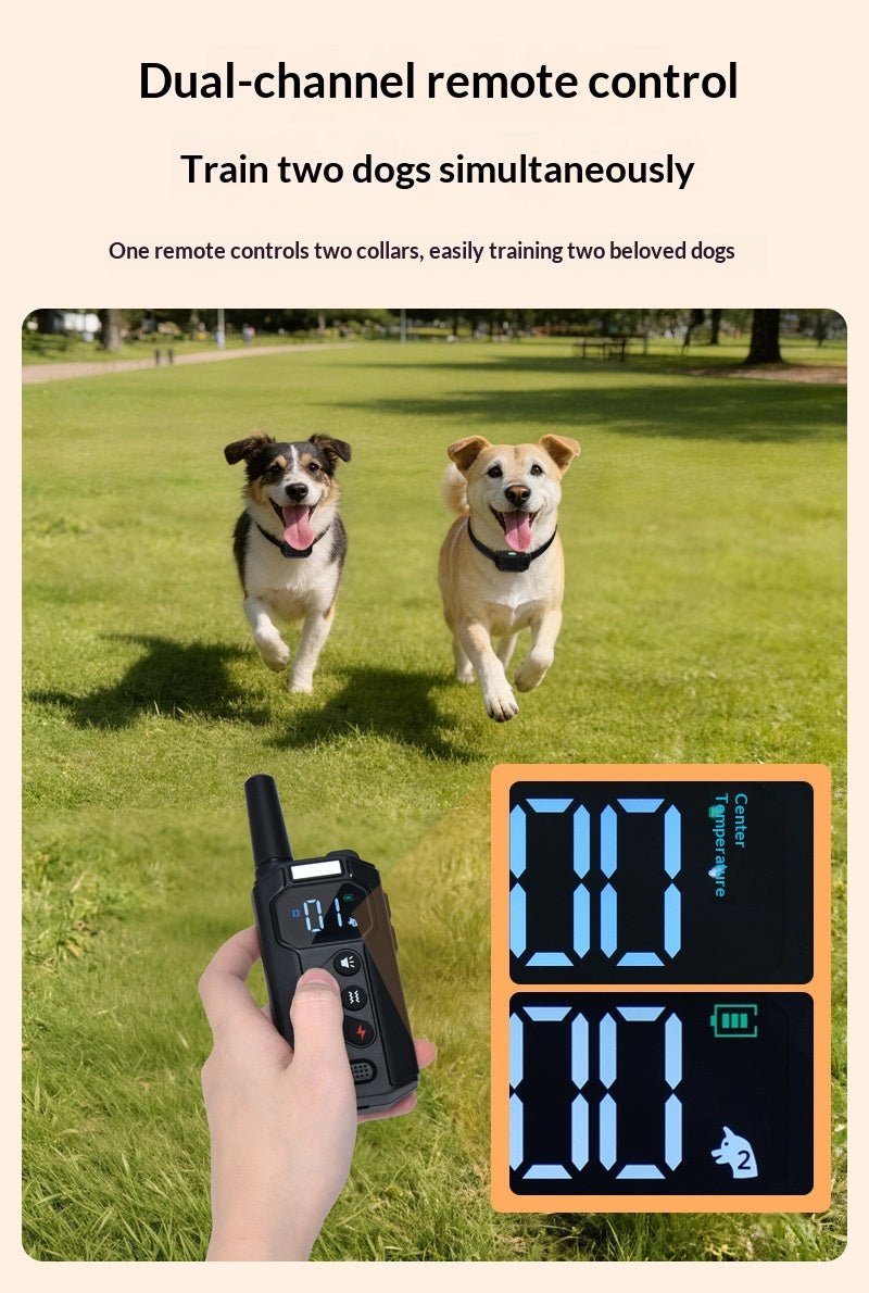 Collier d'entraînement à distance intelligent pour chien avec dispositif anti-brouillard de vibration et choc