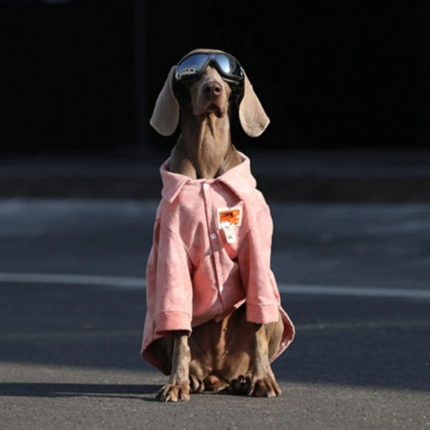 Vêtements de chien pour grandes races Labrador