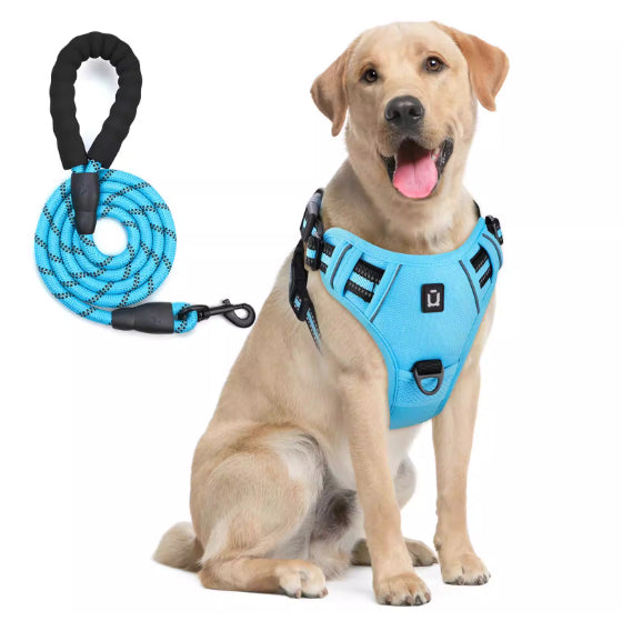 Harnais de chien et combo de laisse avec conception de preuve d'évasion