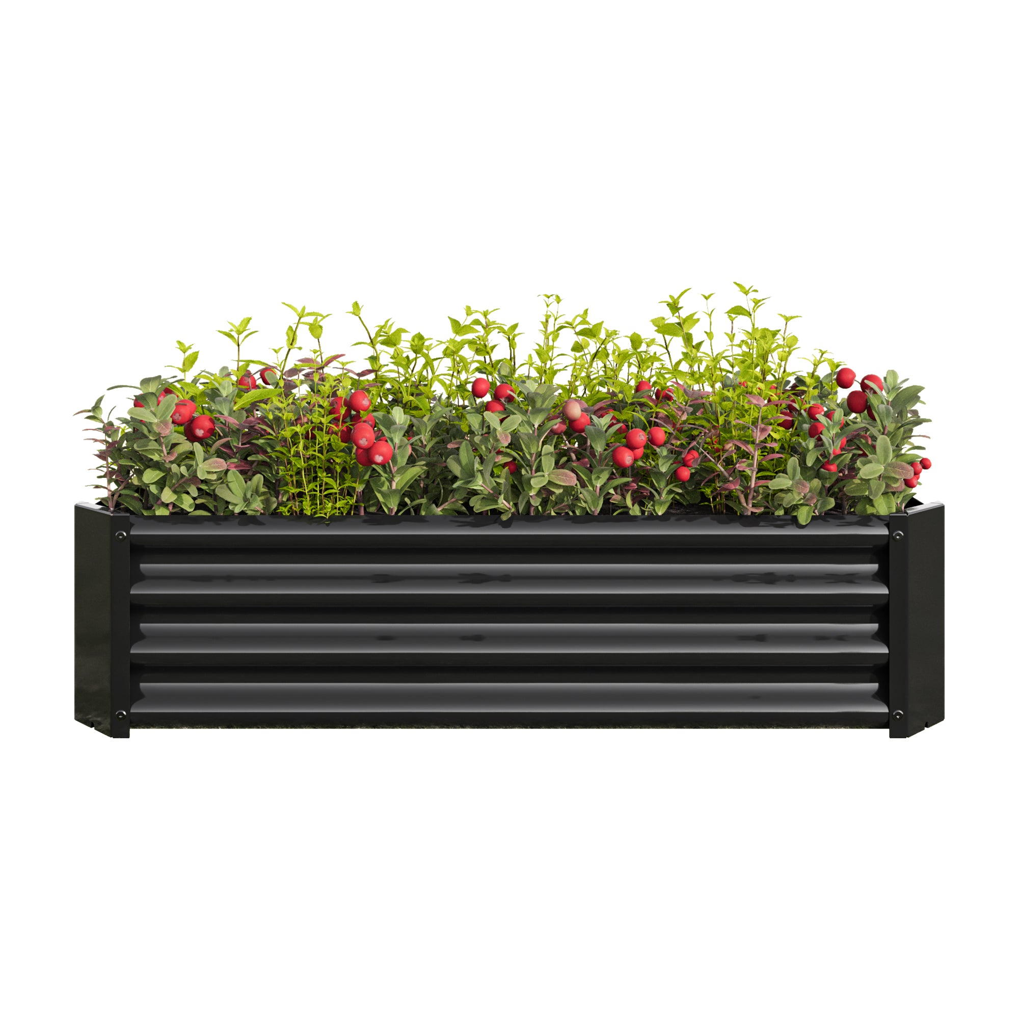 2PCS noir 4×2×1ft Lit de jardin surélevé en métal