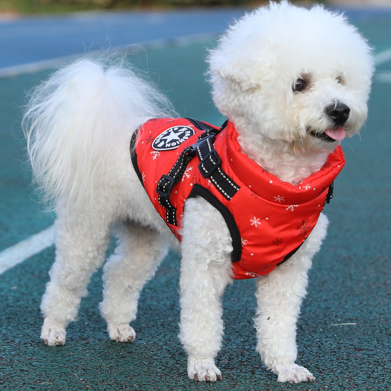 Chien chaud d'animal Enduit de coton avec laine épaisse