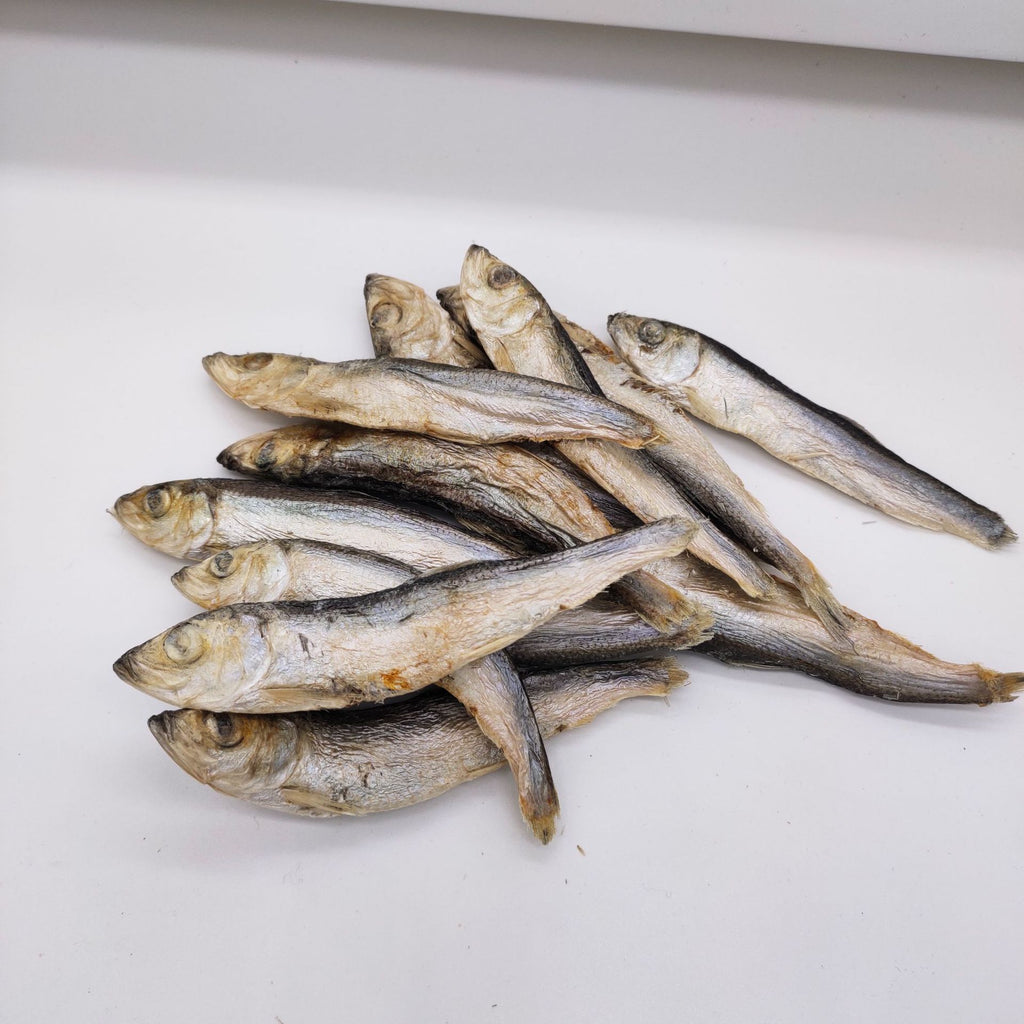 Sardine Gelées séchées pour animaux de compagnie