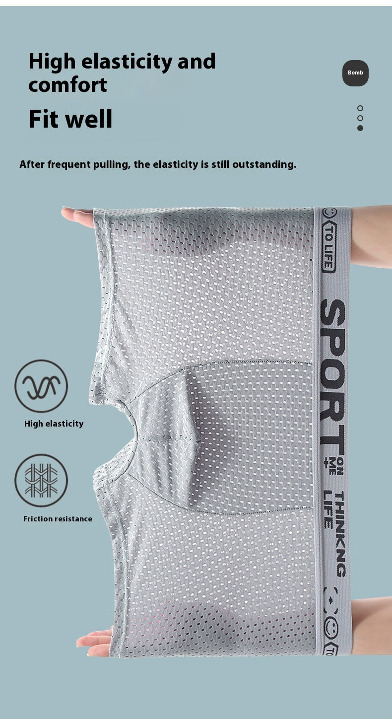 Sous-vêtements Hommes Ice Silk Mesh Boxers