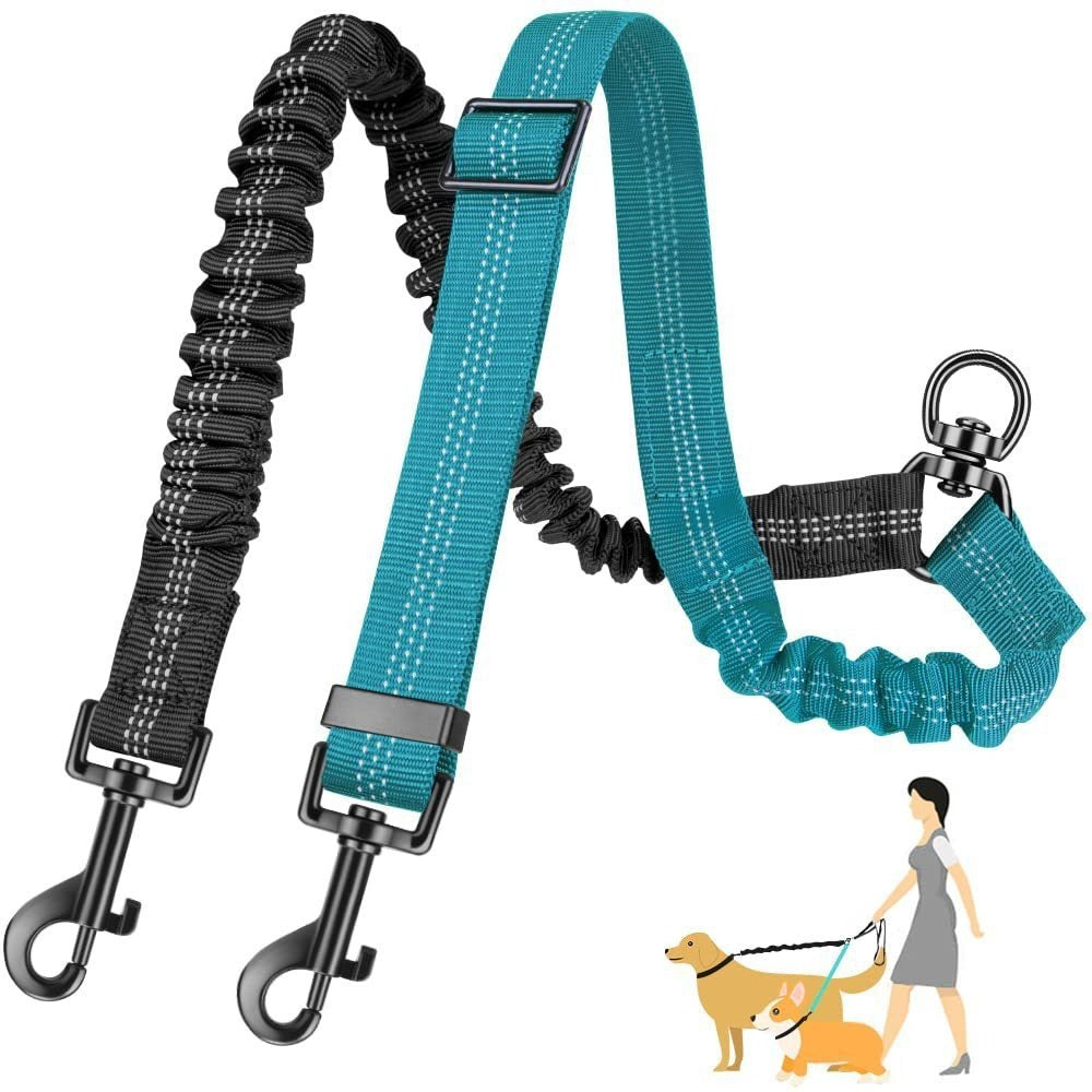 Une laisse Deux grandes laisses de chien et anti-tangles résistant aux piqûres