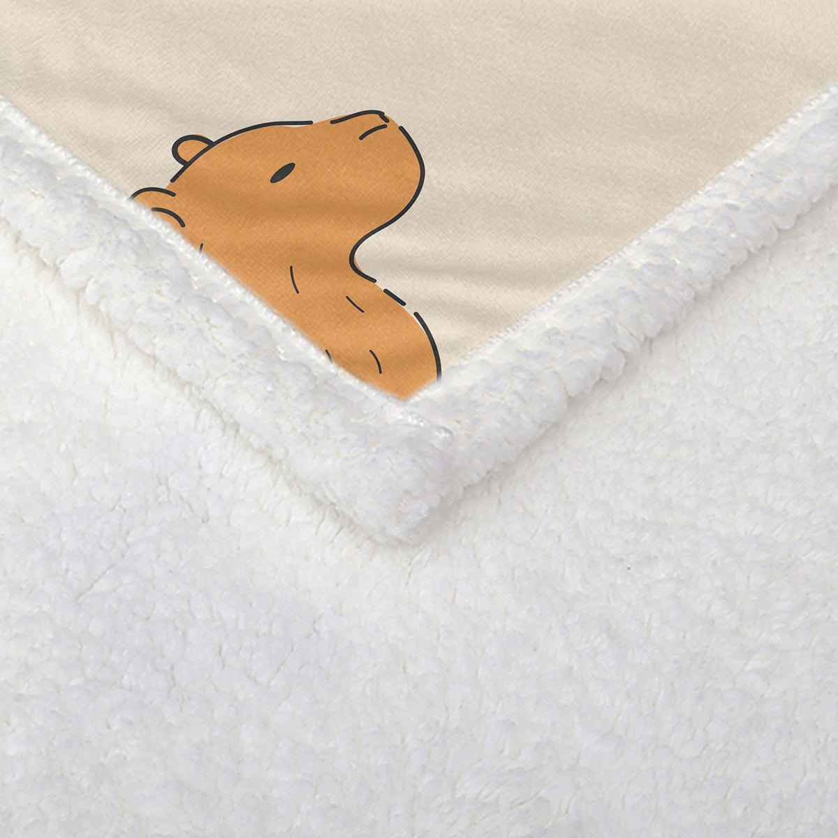 Cadeau de couverture Capybara pour les filles Garçons Enfants Animaux Lovers Soft Blankets Coupes Capybara Coz