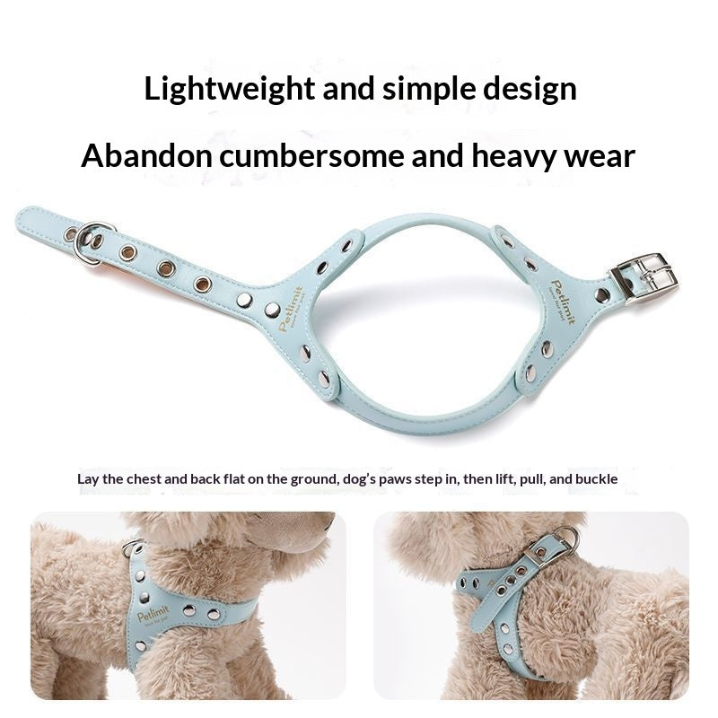 Harnais en cuir et laisse pour chiots pour petits chiens