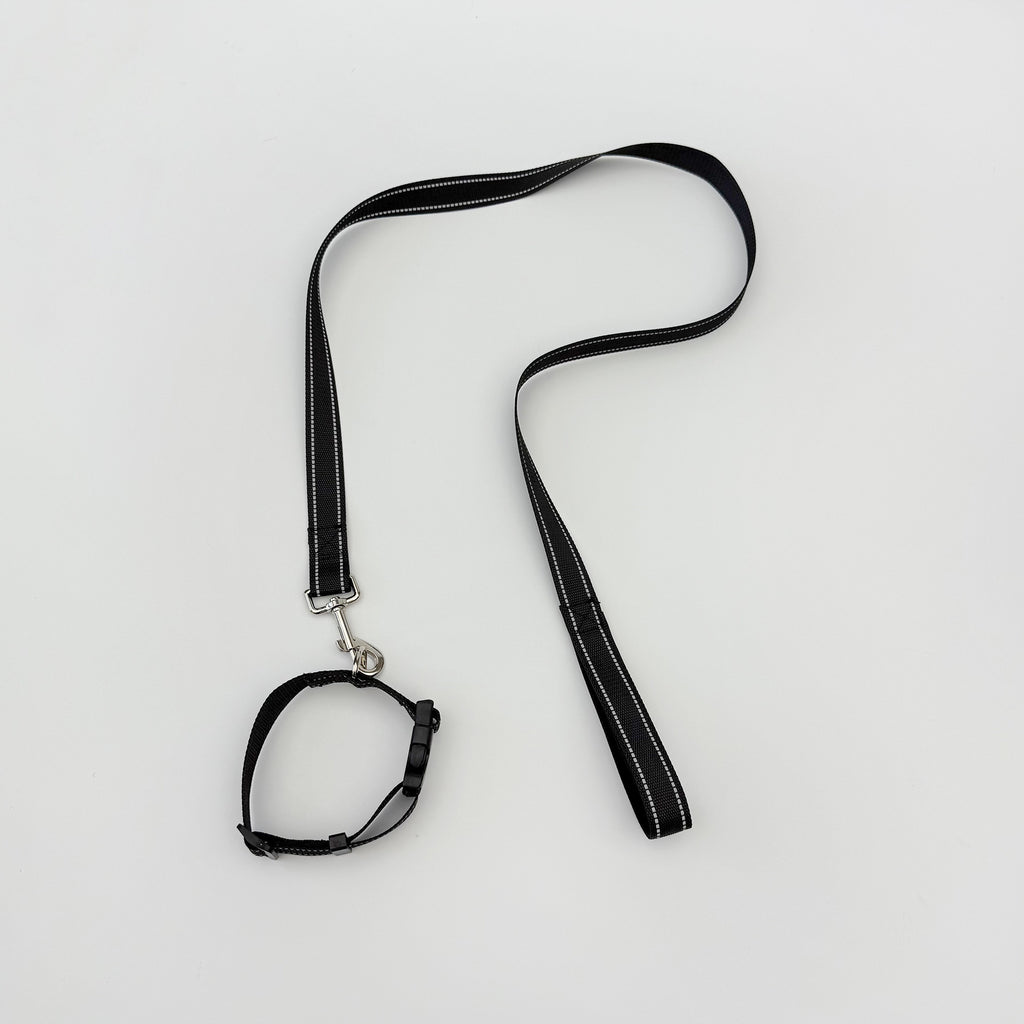 Ensemble de colliers pour animaux de compagnie