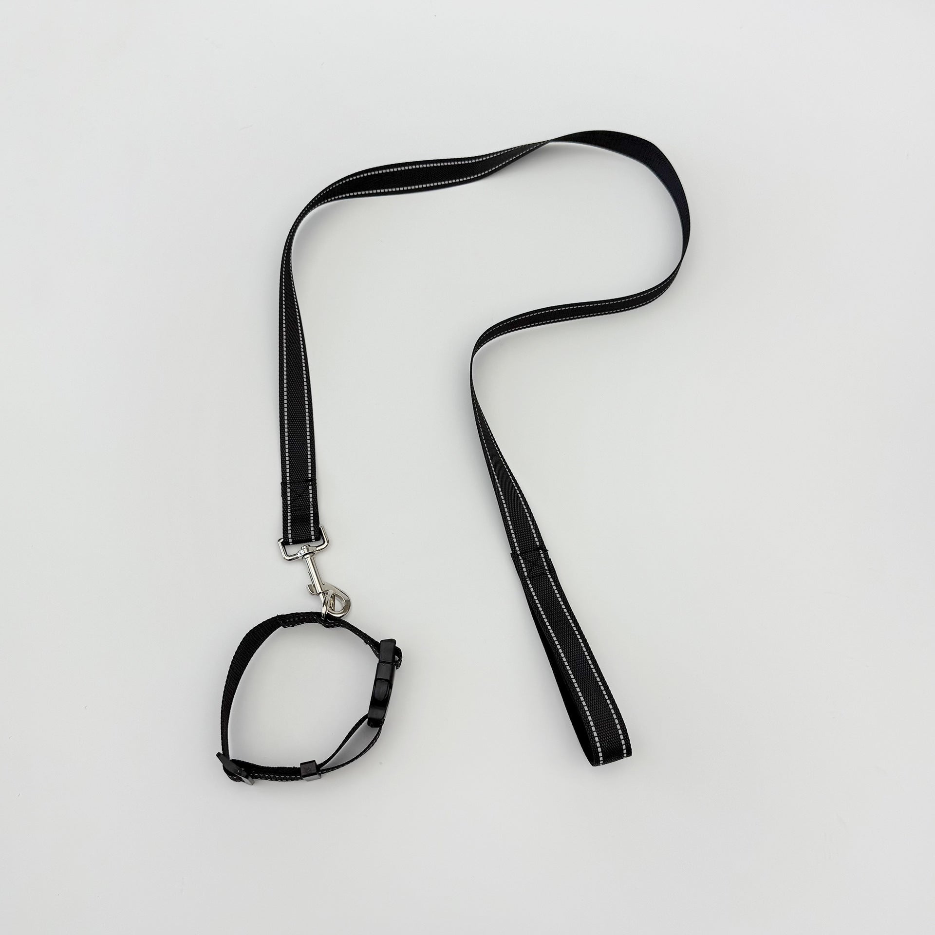 Ensemble de colliers pour animaux de compagnie