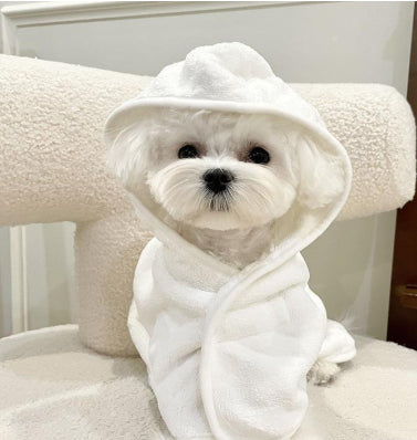 Chien quatre saisons peut porter bain peignoir sec