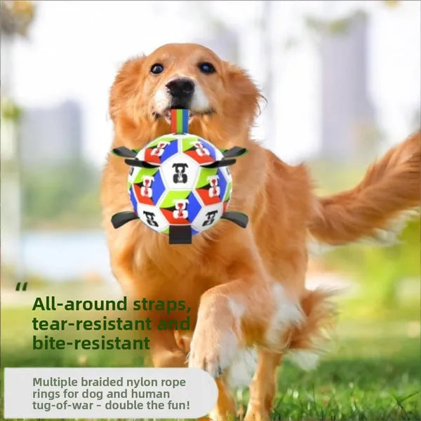 Jouets de chien Balle de soccer avec paillettes