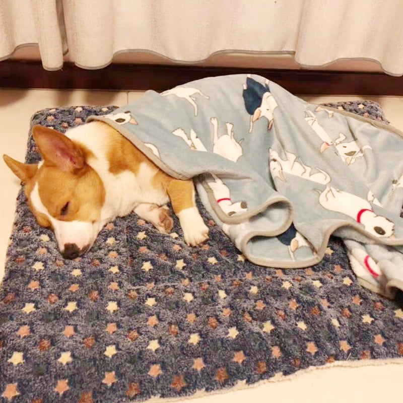 Tapis épais pour animaux de compagnie pour l'automne et l'hiver chaud