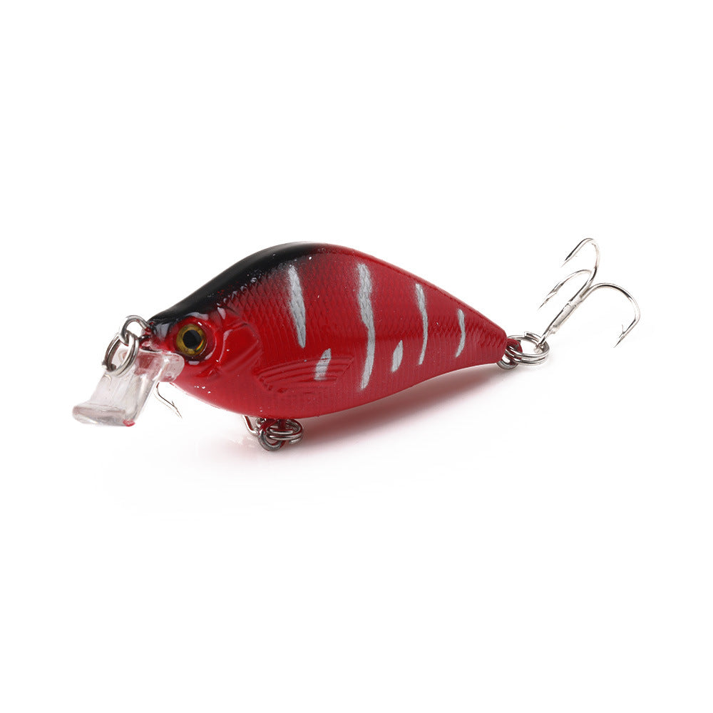 Simple pêche flottante eau Mino Rock Lure Lure