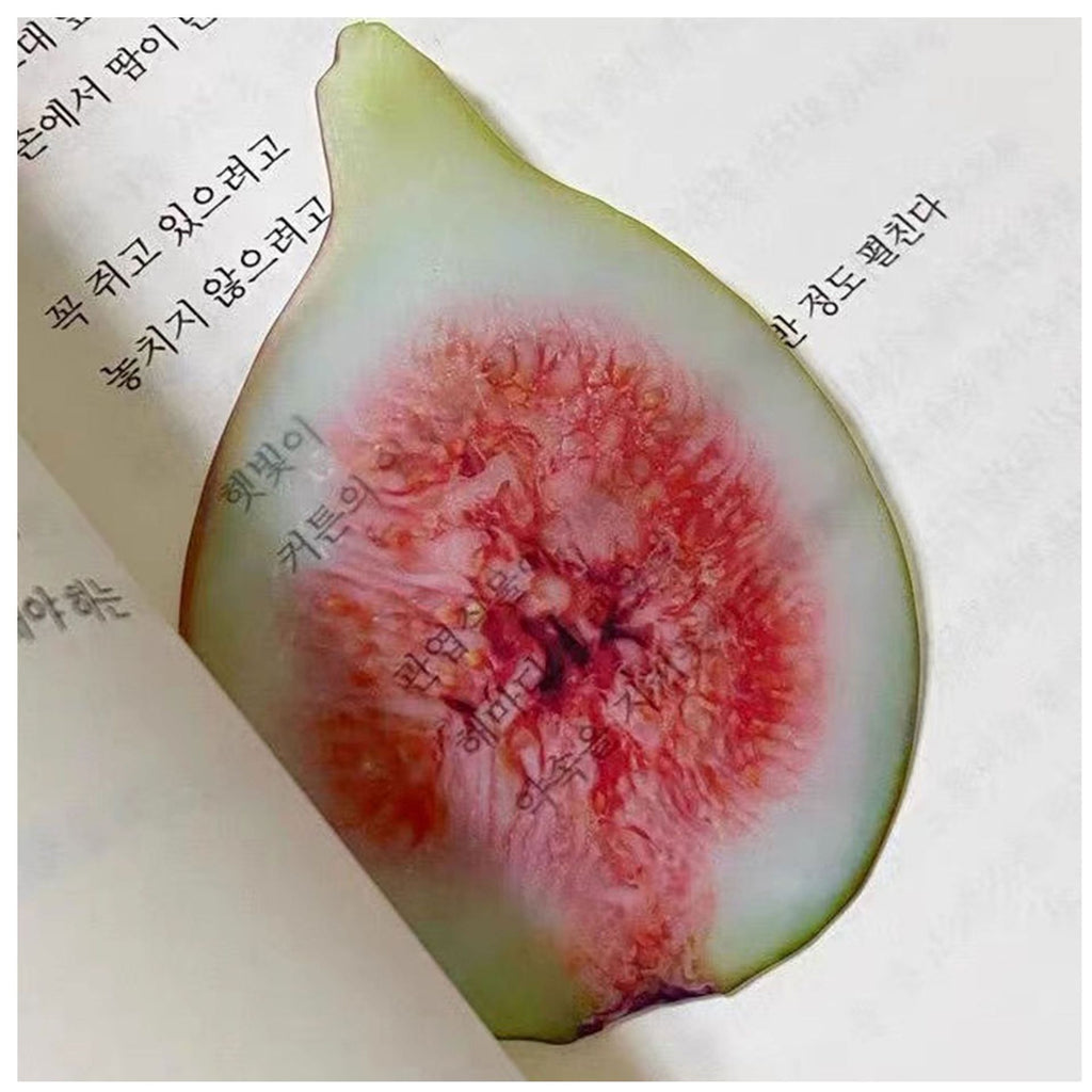 Cute Fixed Book Photo Signet Cartoon Creative Watermelon Fruit Signet