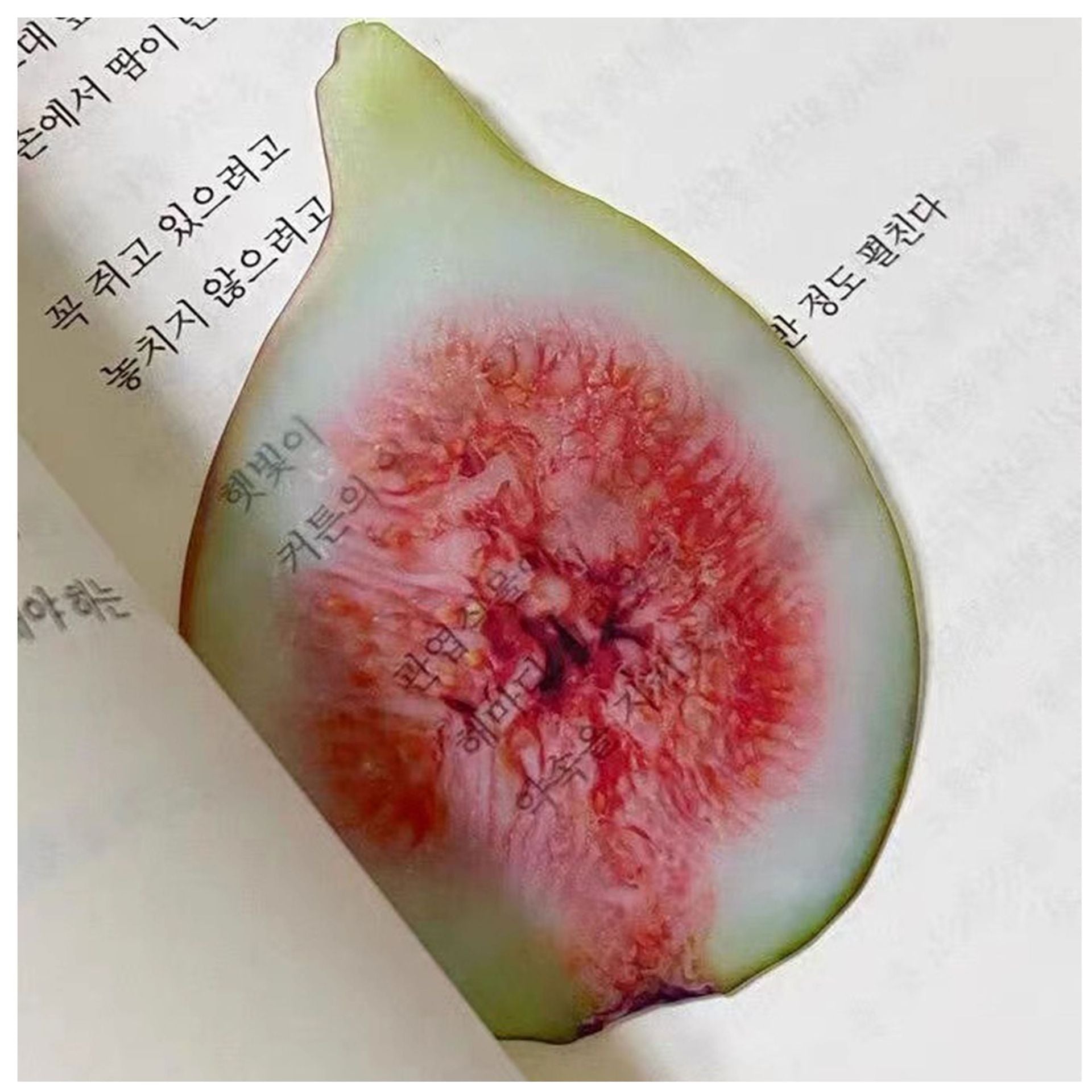 Cute Fixed Book Photo Signet Cartoon Creative Watermelon Fruit Signet