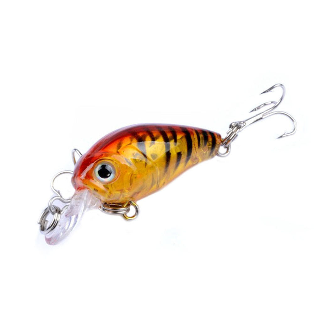 Mini Combo de roche grasse Lure