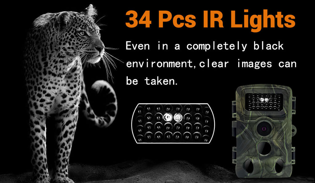 Caméra de chasse infrarouge HD Surveillance étanche