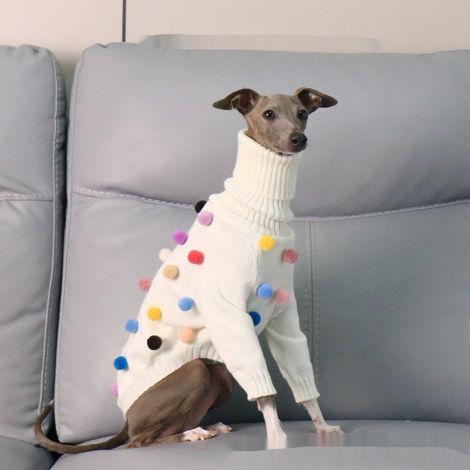 Chandail de Noël de Whippet