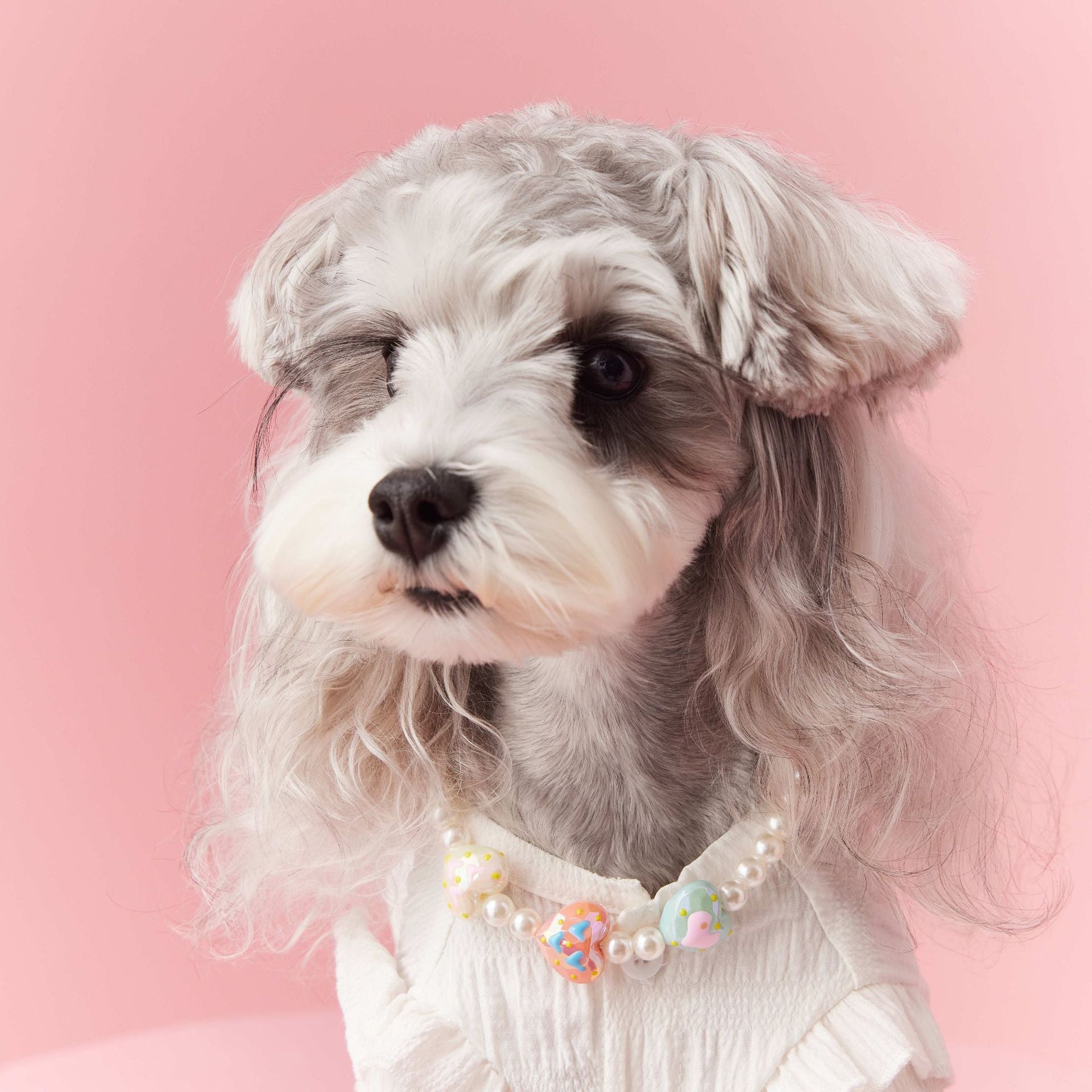 Photo Concave Shape Dog Accessories Pet Supplies Perles Ornements