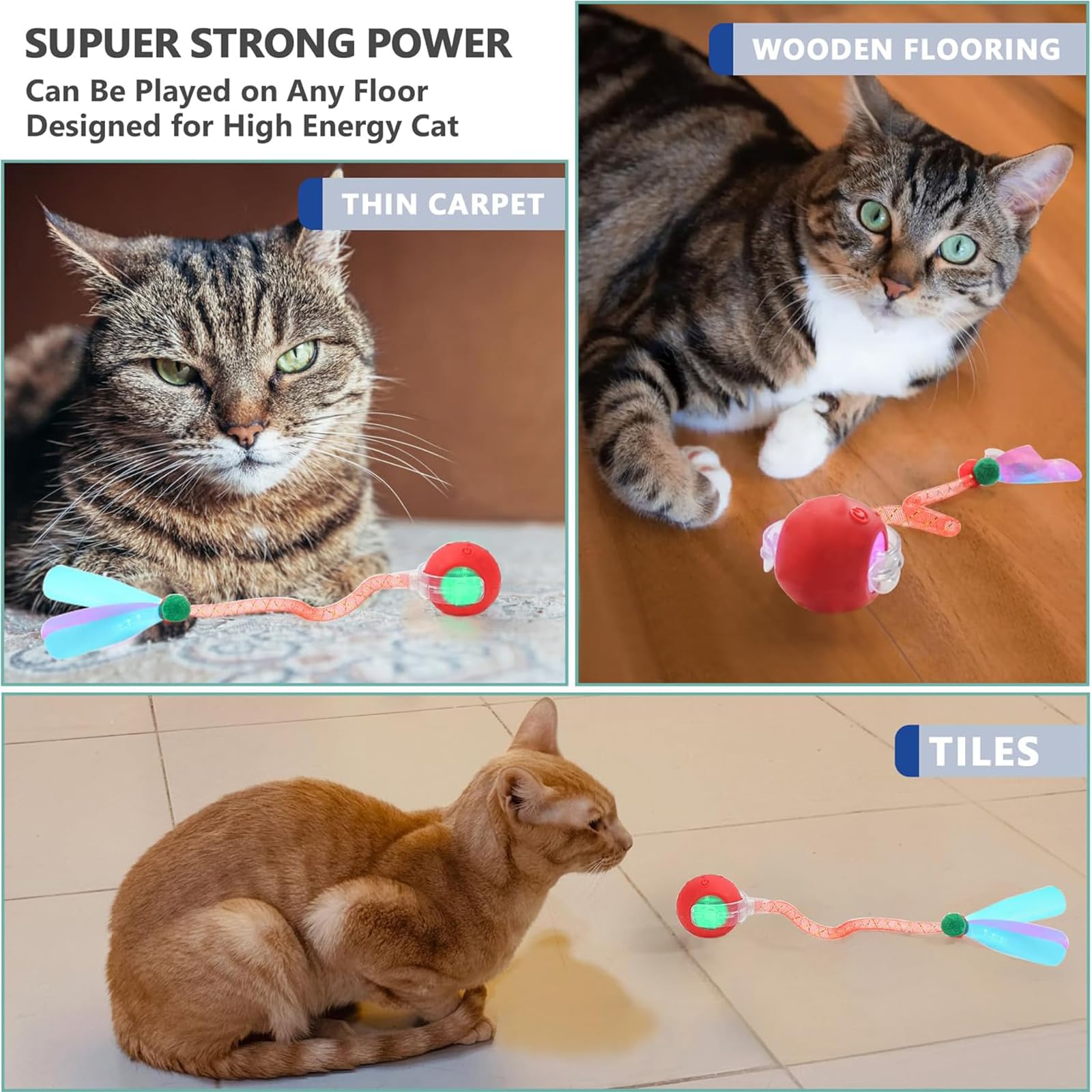 Jouets interactifs pour chats de queue pour chats d'intérieur