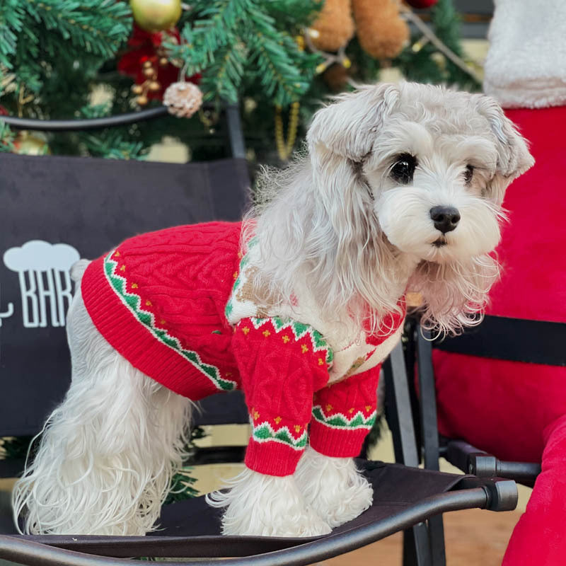Chapeau pour animaux de compagnie de style Noël