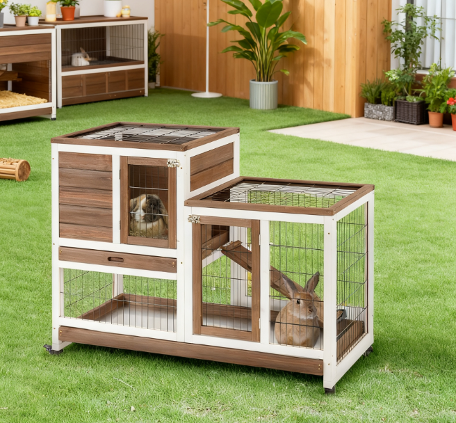 Lapin en bois Hutch Élevé Bunny Cage