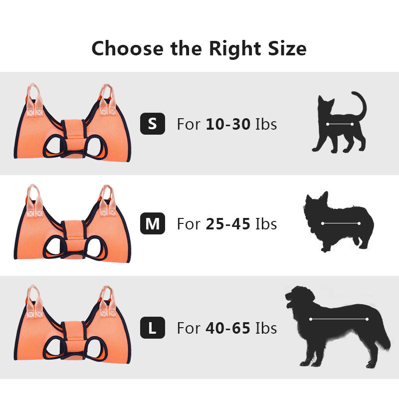 Outil pour chat et chiens