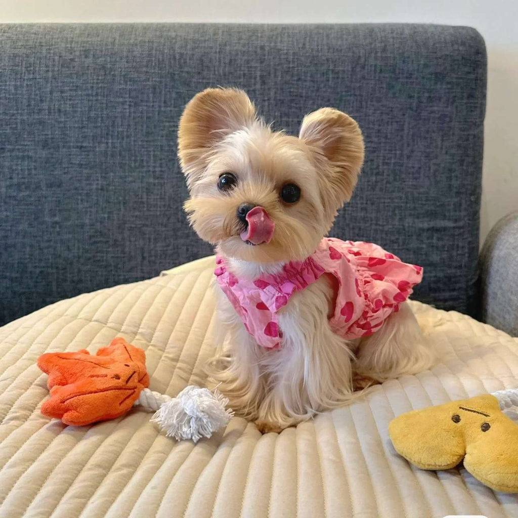 Robe de princesse pour chiens de printemps d'été