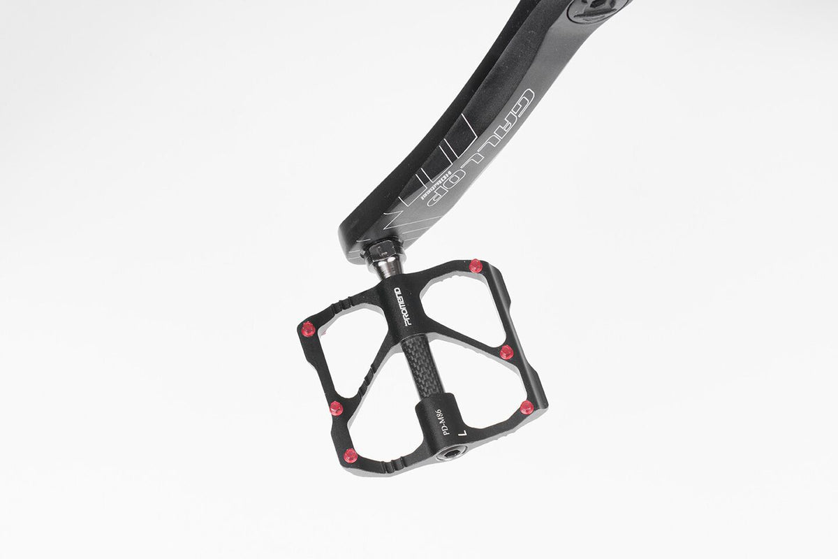 Vélo de montagne à roulement en fibre de carbone 3 pédales