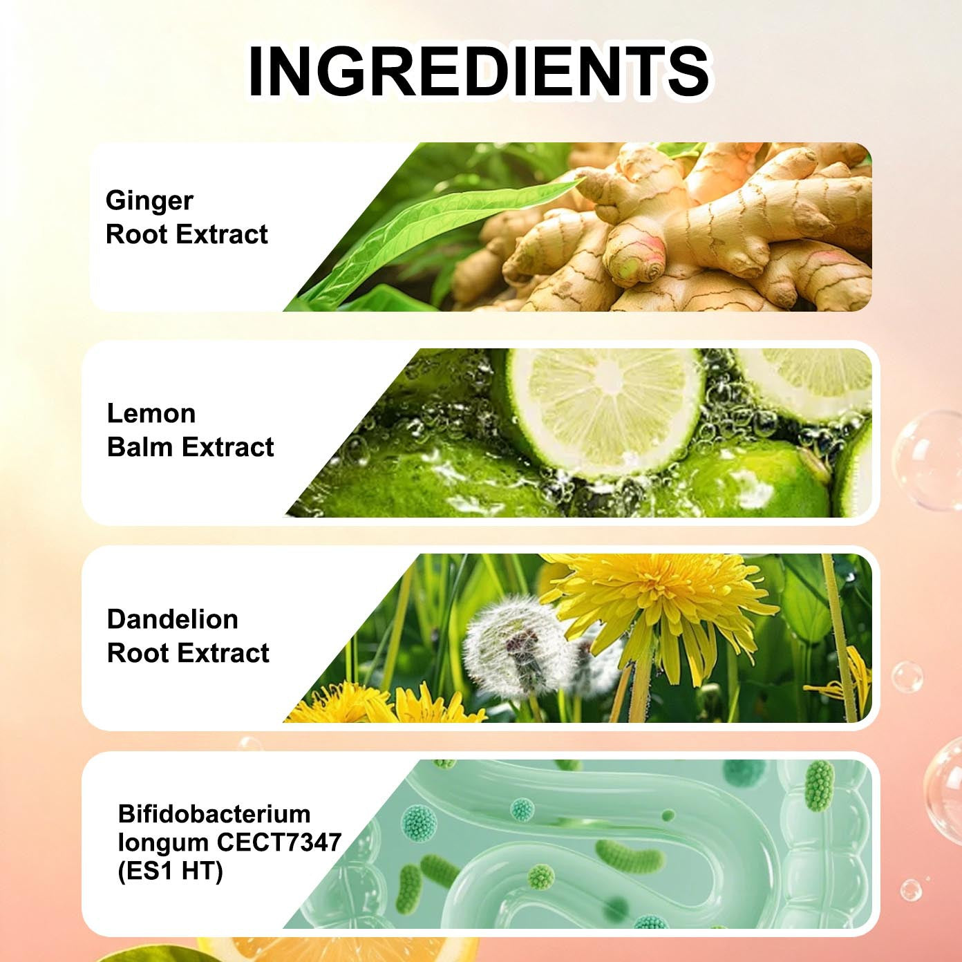 GOMMES DIGESTIFS Gommes digestifs 60 Comprimés