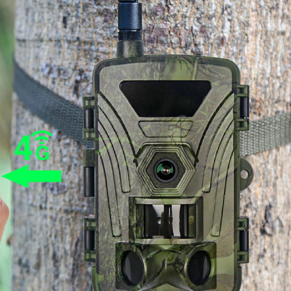 Caméra étanche de surveillance de la faune extérieure