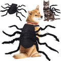 Déguisement Halloween Pet Spider Style américain