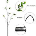 Leaves Large autumn branches Artificial branches Plant leaves