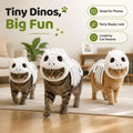 Costume de chat de squelette de dinosaure
